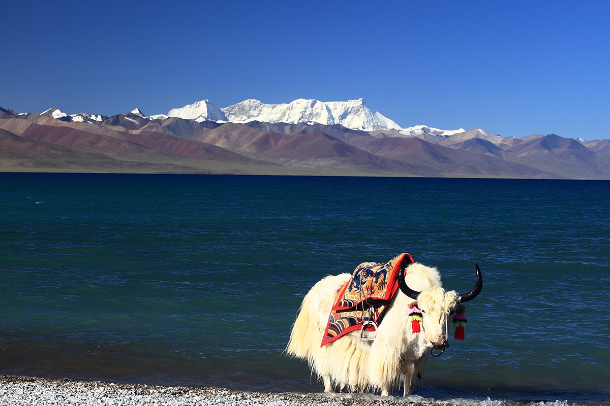 Nam Tso and Nianqingtanggula