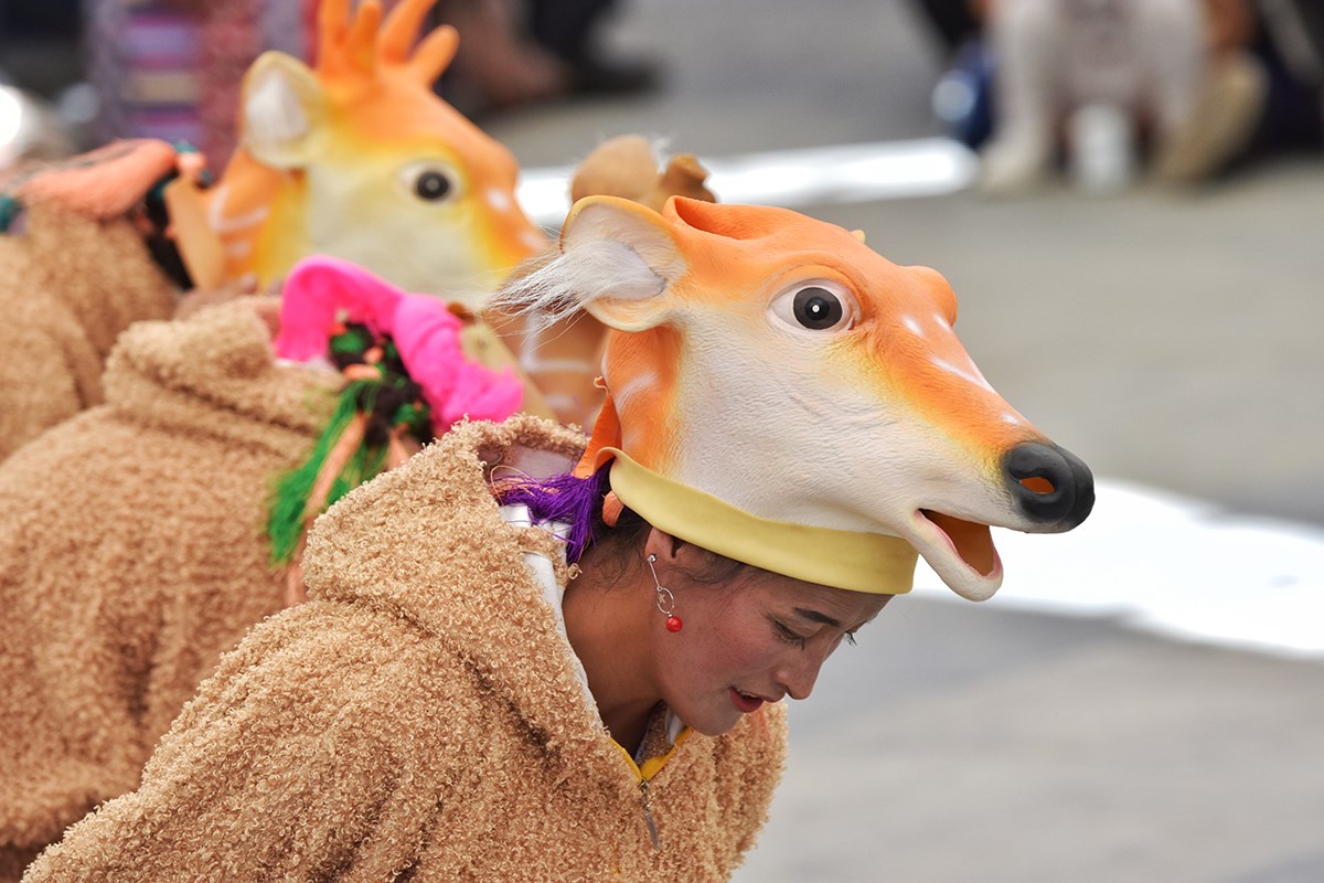 Tibet Opera during Lhasa Shoton Festival