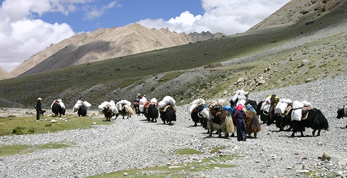 Kailash Trekking