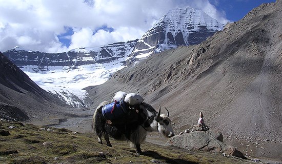 Tibet Trekking around Kailash with Everest BC and Tsada