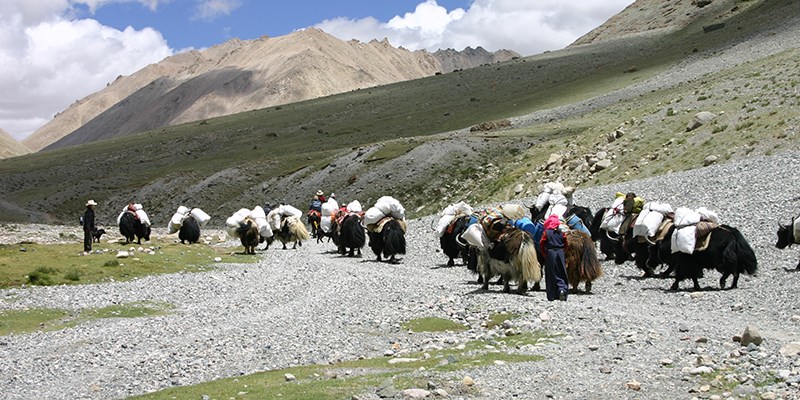 Trekking around Kailash