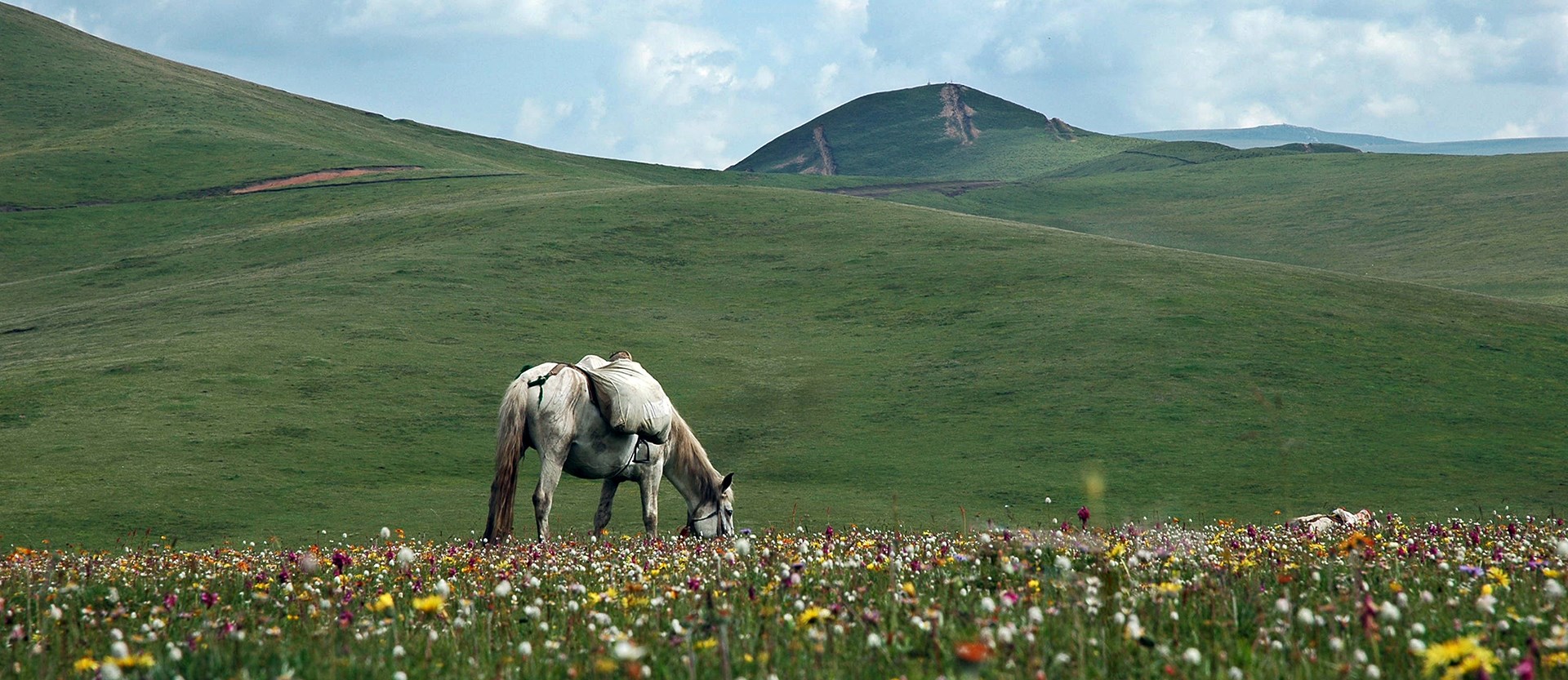 Horseback Riding Tour in Tibetan Areas Kham-Amdo