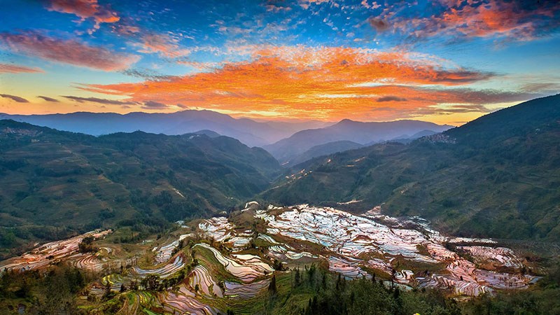 Rice Terrace of Yuanyang