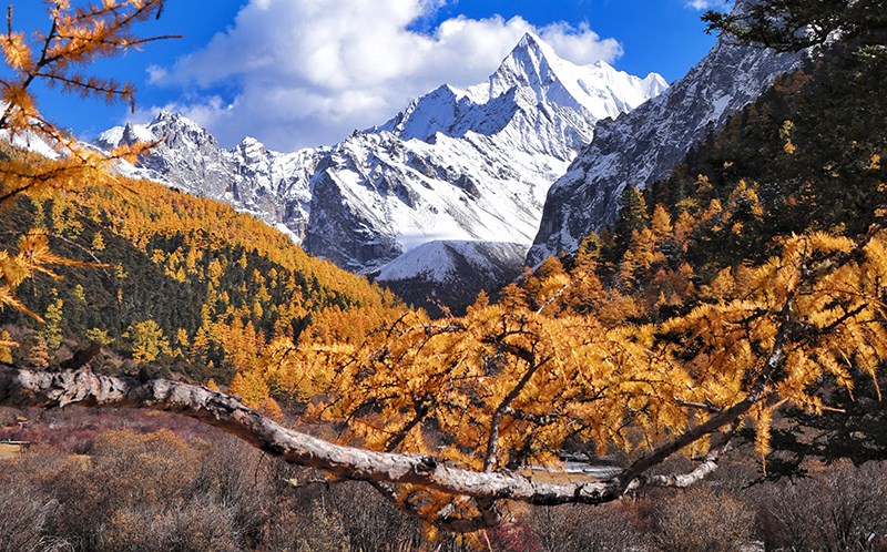 Xialuoduoji in Yading