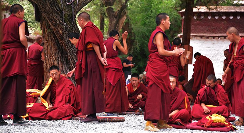 Debate in Sera Monastery