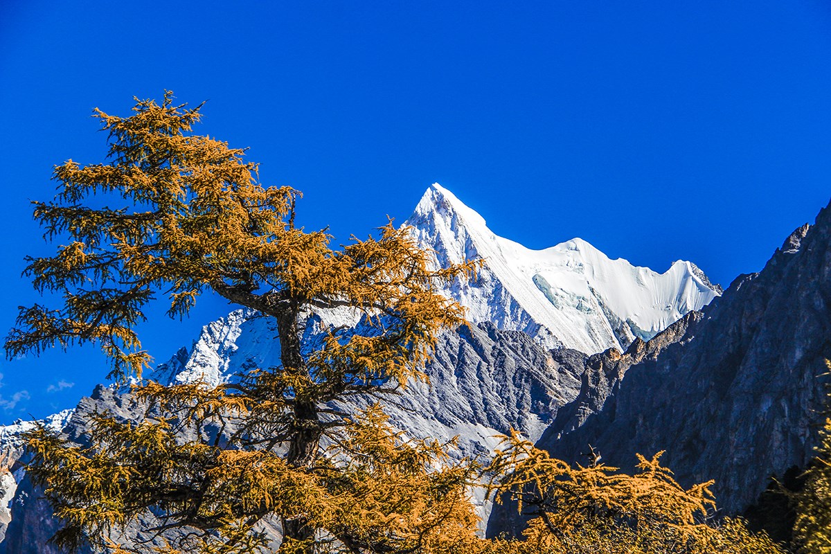 Xialuoduoji in Yading | Photo by Wang Lei