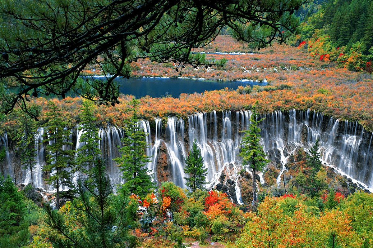 Jiuzhaigou National Park | Photo by Wang Ning
