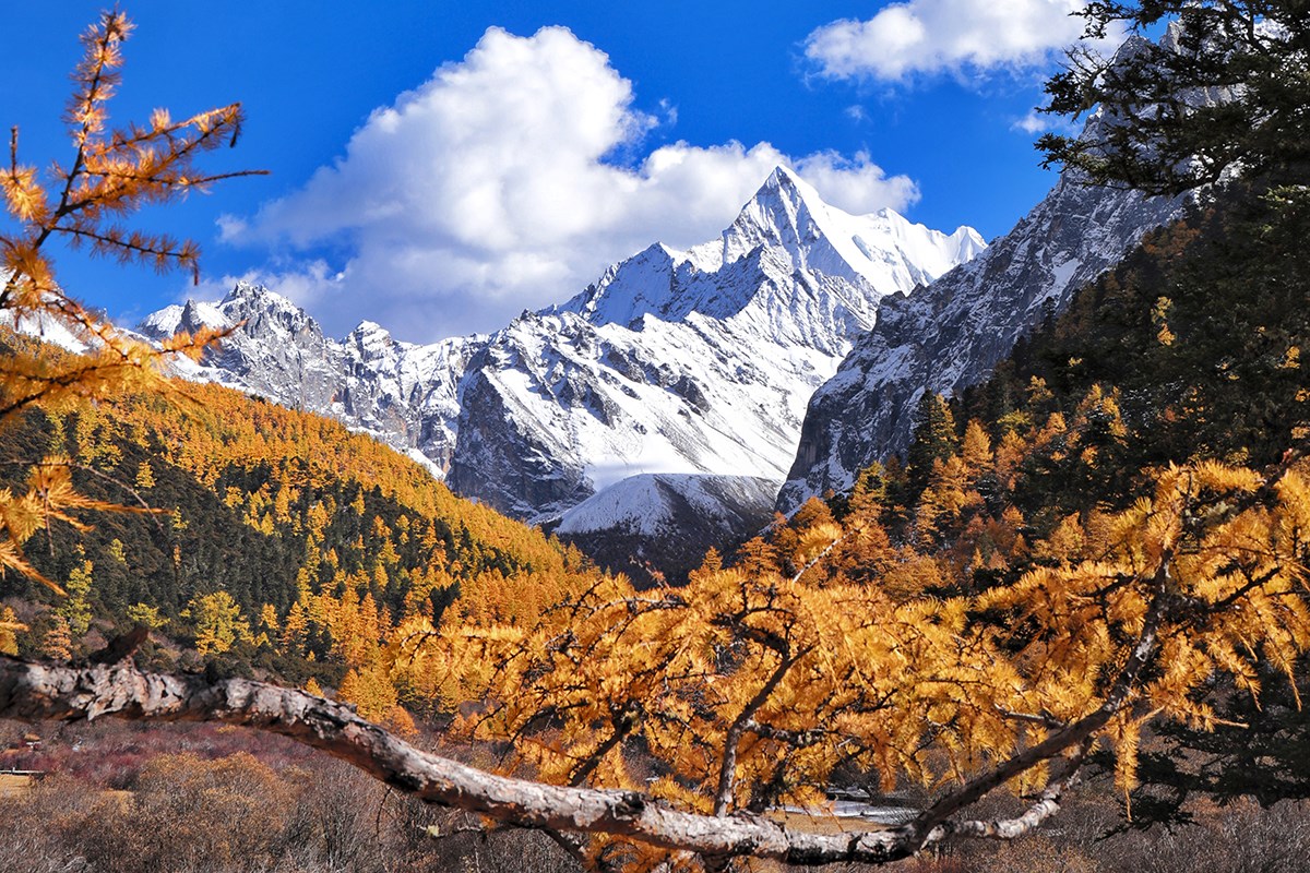 Xialuoduoji in Yading | Photo by Wang Lei
