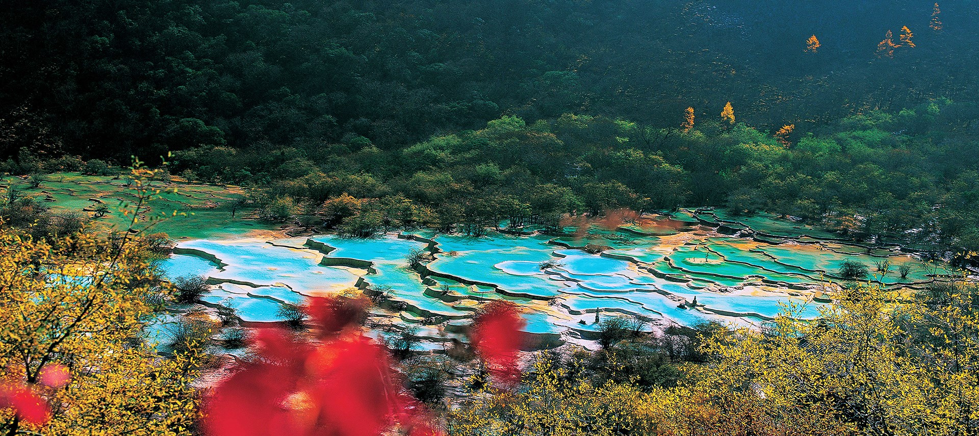 Culture and Nature Tour in Sichuan, Gansu and Qinghai