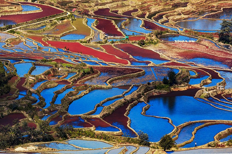 Rice Terrace of Yuanyang