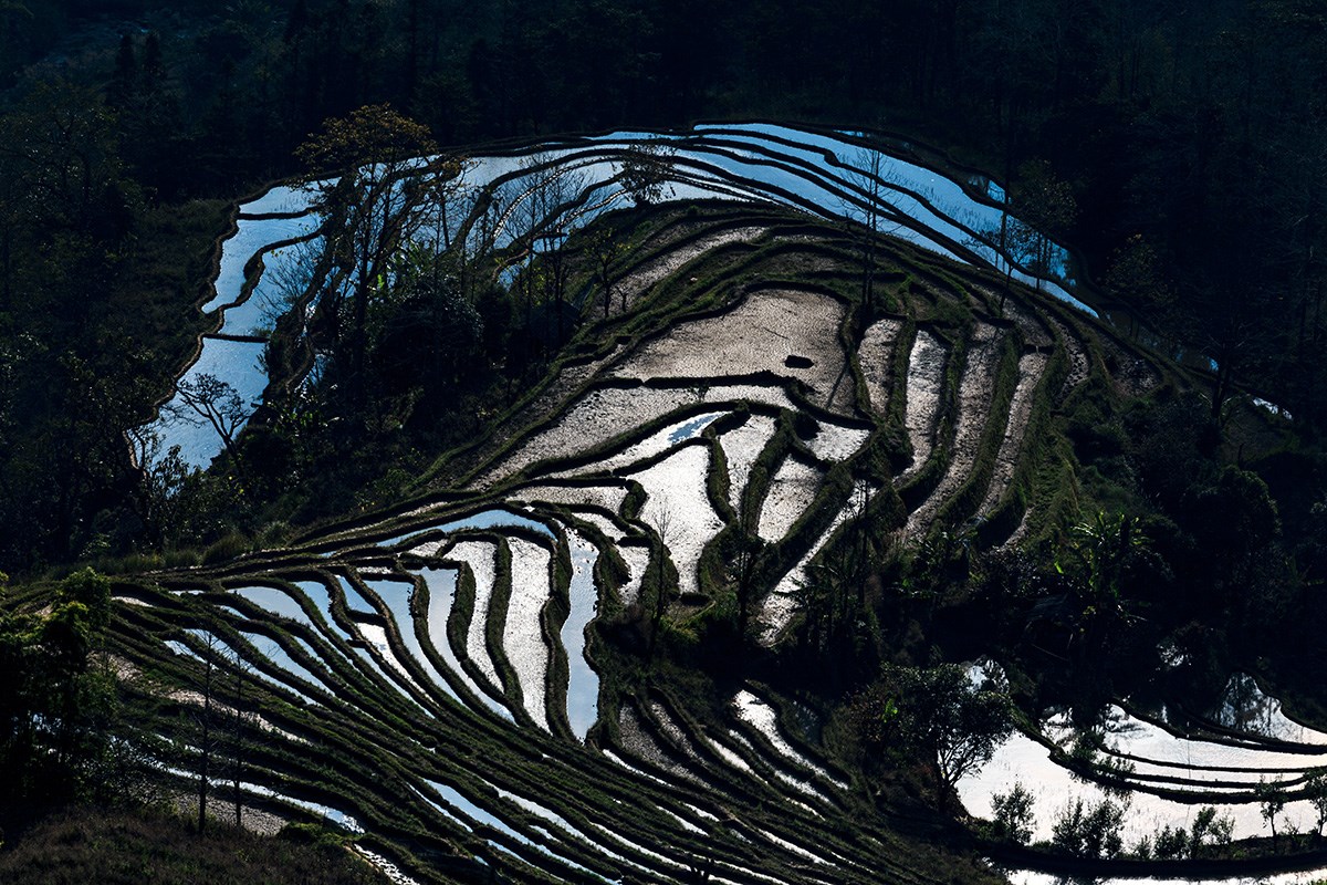 Yuanyang Terrace | Photo by Min Zhao
