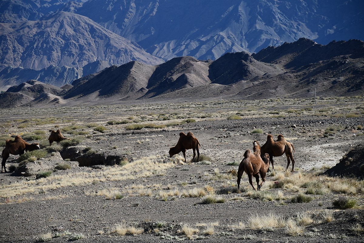 Landscape of Tianshan | Photo by Liu Bin