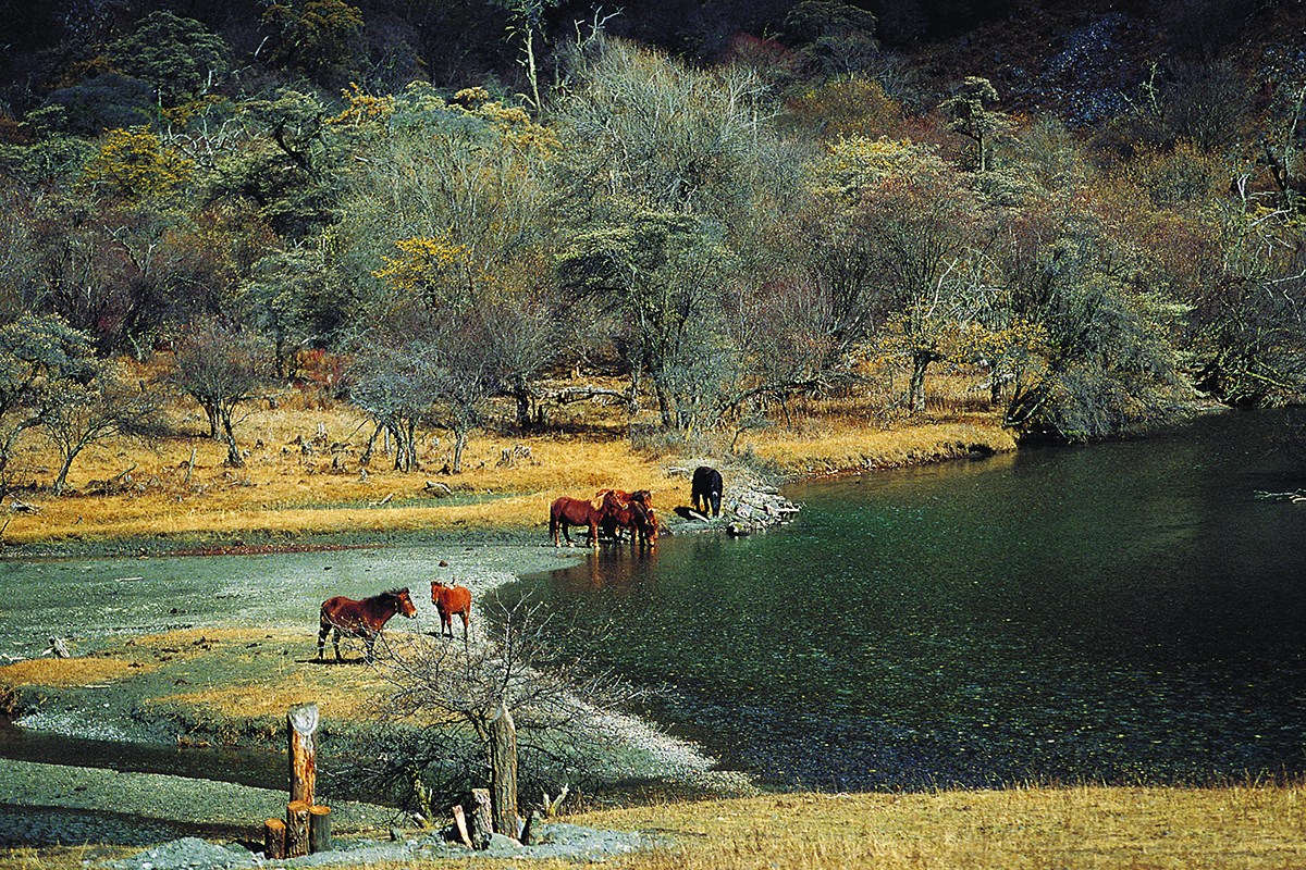Lake in Siguniang Mountain 