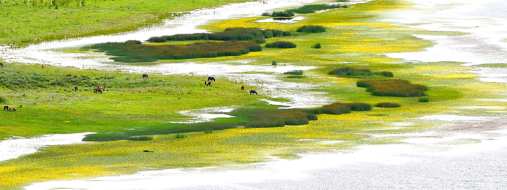 Tibet Luxury Travel