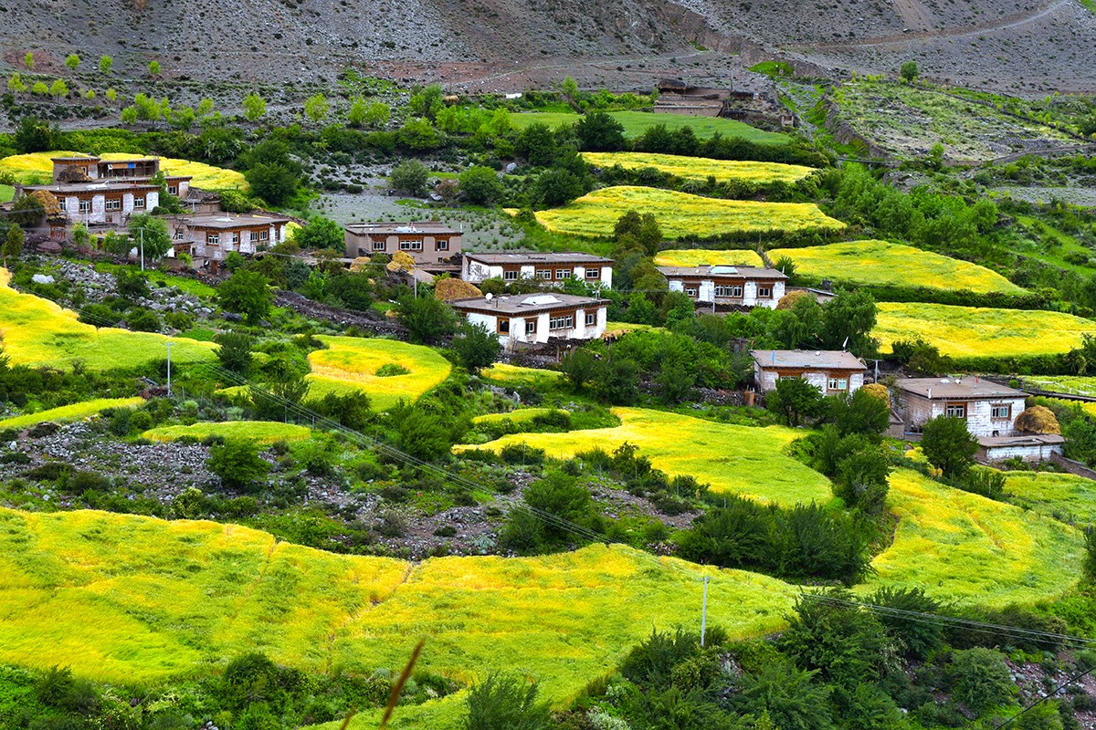 Landscape of Baxoi | Photo by Liu Bin