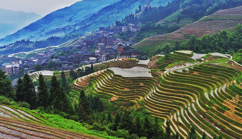 Rice Terraces of Longsheng